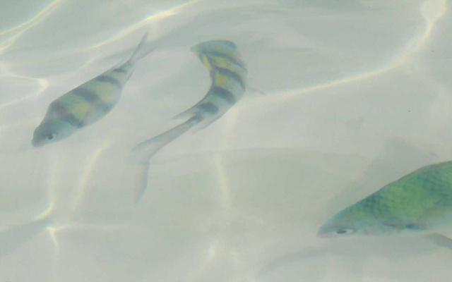 命理学看八字的技巧