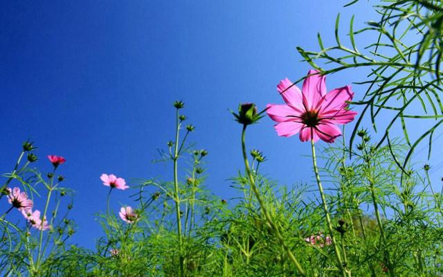 风水方面的销售好做吗