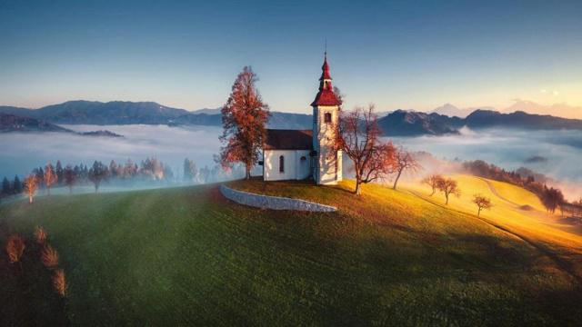 丙子辛丑庚午甲申女命八字