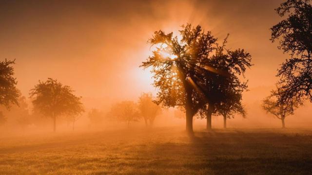 什么八字女命感情不顺