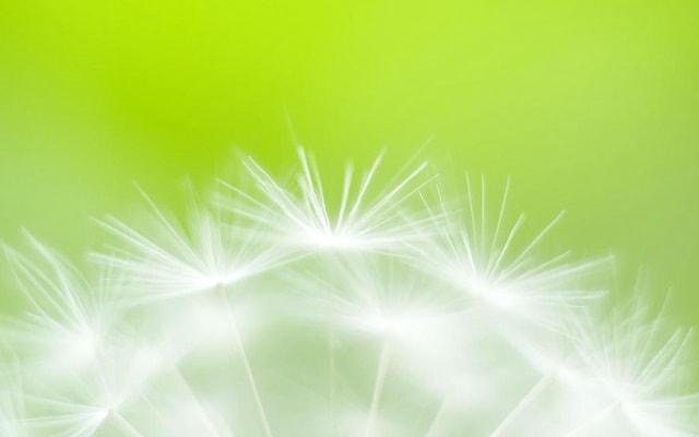 干湿分离能隔离风水吗