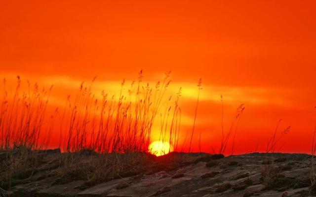 什么八字是易学大师的命格