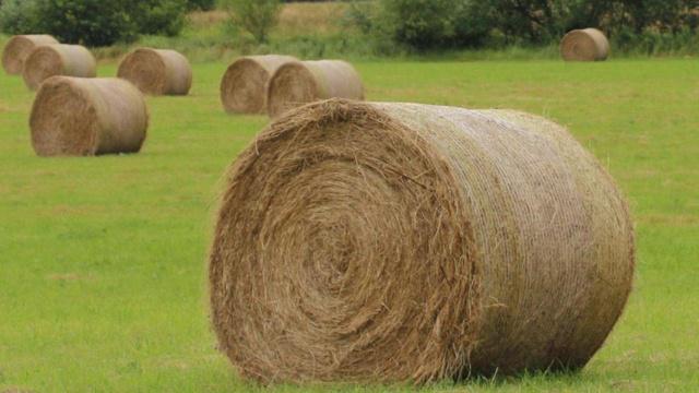 小区湖水混浊影响风水吗