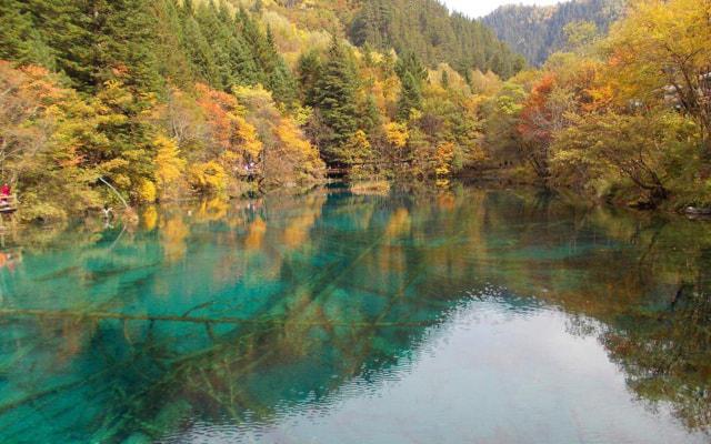 中年人发财的命理八字