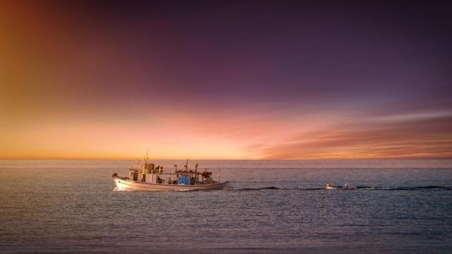 哪些时辰八字是属土命格