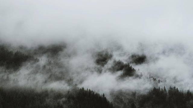 空花盆对风水有影响吗