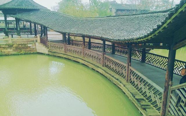 家里适合水培红薯吗?风水吗 家里适合水培红薯吗?风水吗