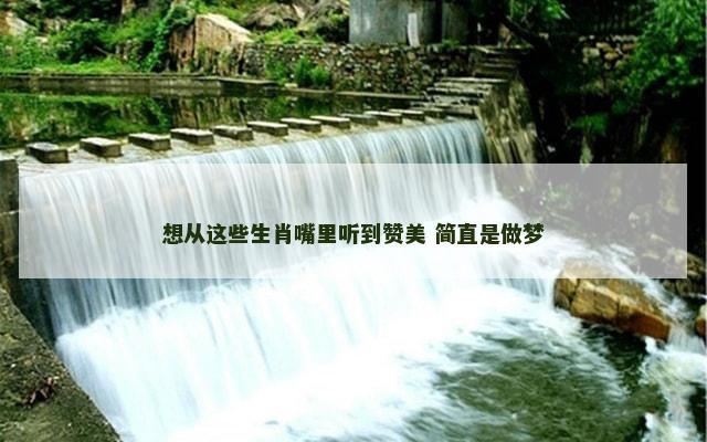 想从这些生肖嘴里听到赞美 简直是做梦