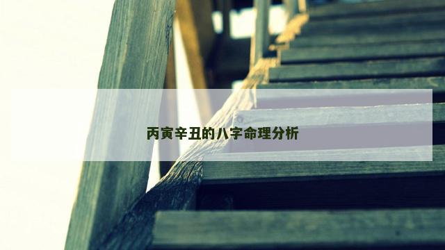 丙寅辛丑的八字命理分析