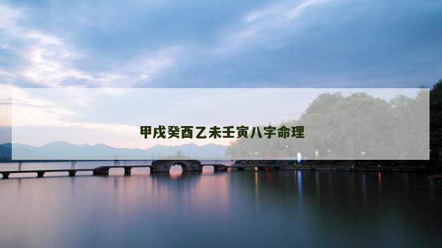 甲戌癸酉乙未壬寅八字命理