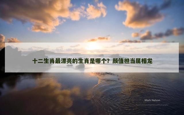 十二生肖最漂亮的生肖是哪个？颜值担当属相龙