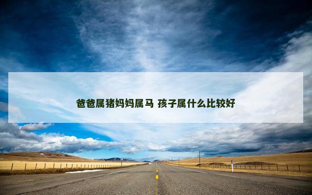 爸爸属猪妈妈属马 孩子属什么比较好