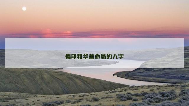 偏印和华盖命局的八字