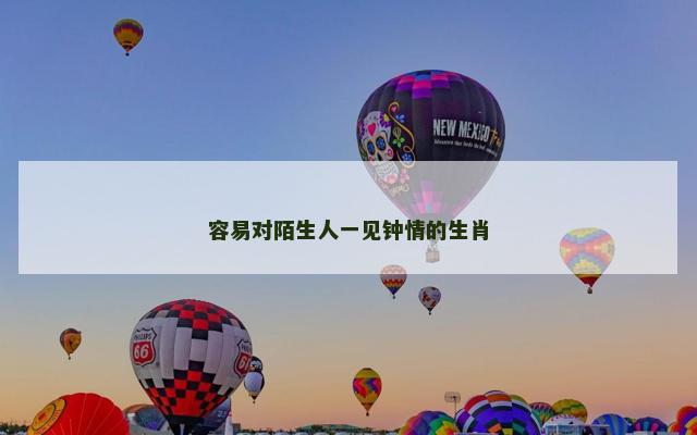 容易对陌生人一见钟情的生肖