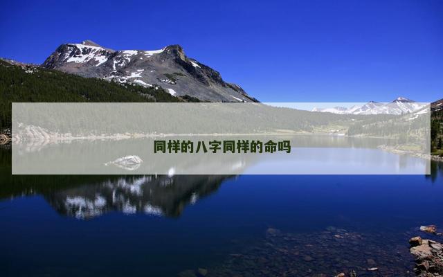 同样的八字同样的命吗