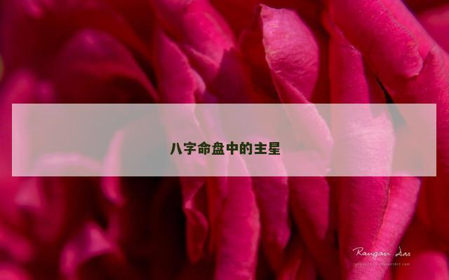 八字命盘中的主星