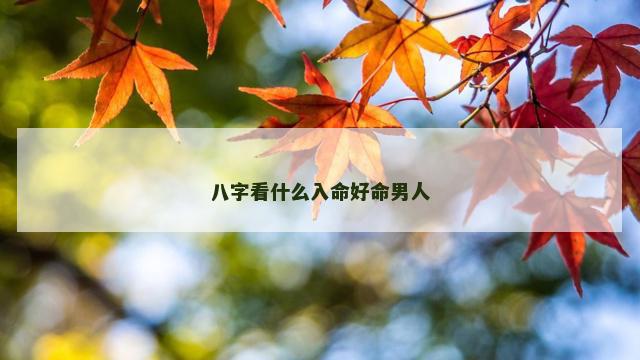 八字看什么入命好命男人