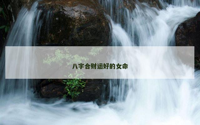 八字合财运好的女命