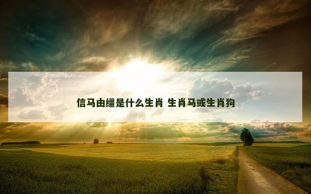 信马由缰是什么生肖 生肖马或生肖狗