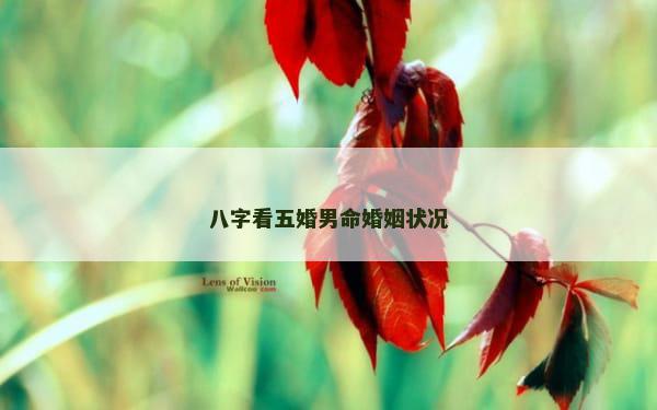 八字看五婚男命婚姻状况