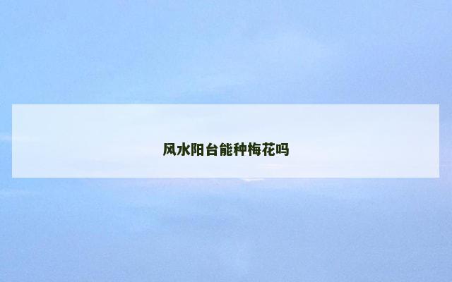 风水阳台能种梅花吗