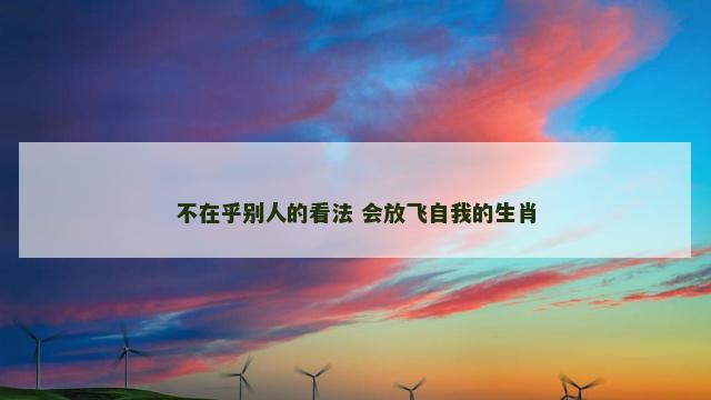 不在乎别人的看法 会放飞自我的生肖