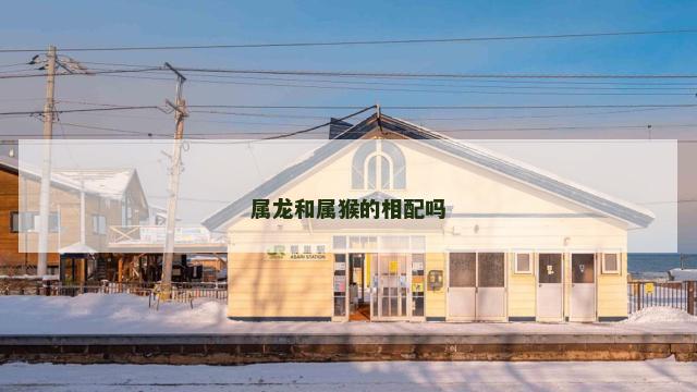 属龙和属猴的相配吗