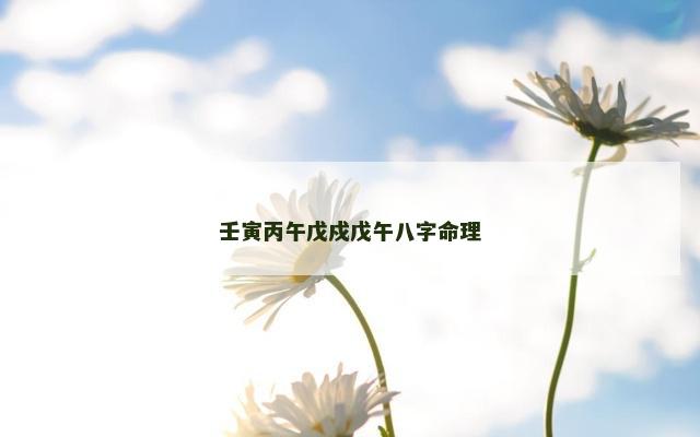 壬寅丙午戊戍戊午八字命理
