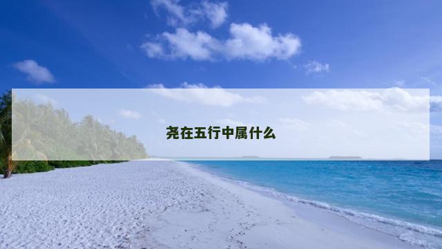 尧在五行中属什么