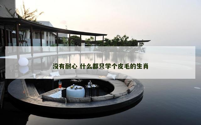 没有耐心 什么都只学个皮毛的生肖
