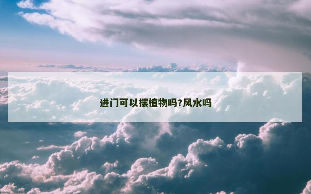 进门可以摆植物吗?风水吗