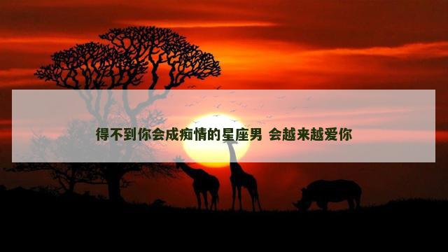 得不到你会成痴情的星座男 会越来越爱你