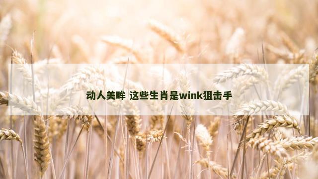 动人美眸 这些生肖是wink狙击手