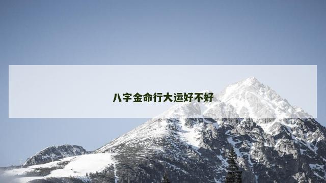 八字金命行大运好不好