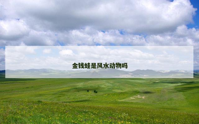 金钱蛙是风水动物吗
