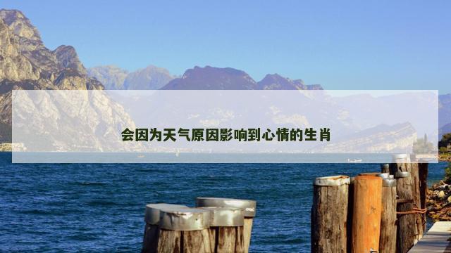 会因为天气原因影响到心情的生肖