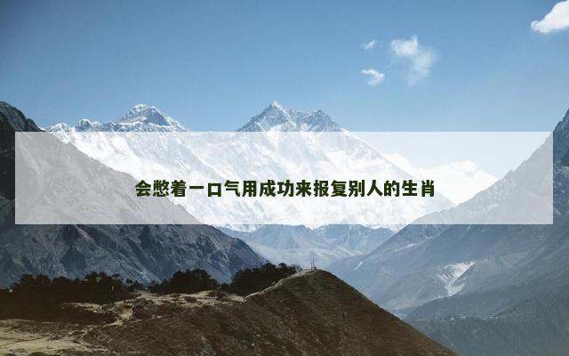 会憋着一口气用成功来报复别人的生肖