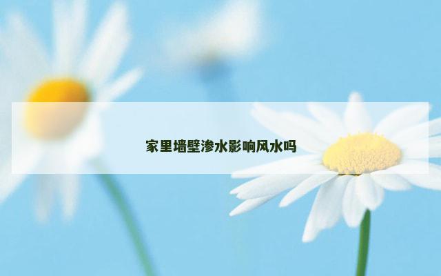 家里墙壁渗水影响风水吗