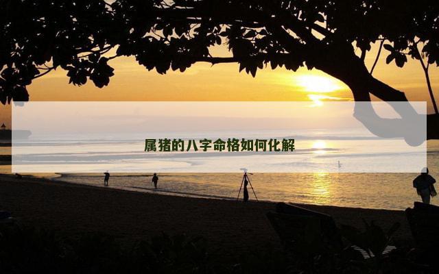 属猪的八字命格如何化解