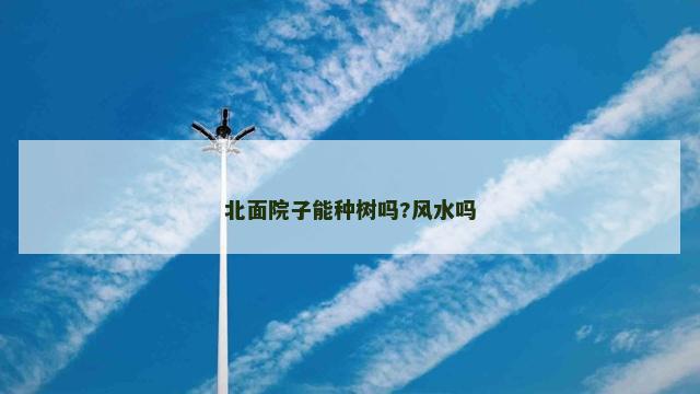 北面院子能种树吗?风水吗