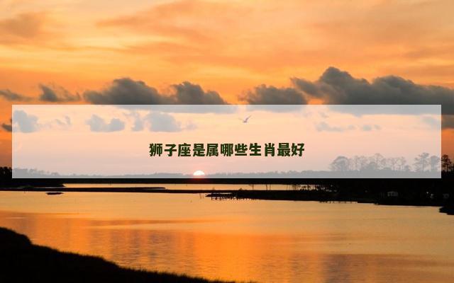 狮子座是属哪些生肖最好