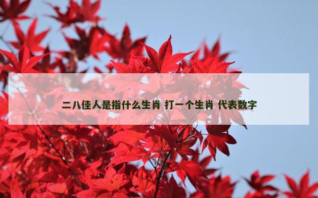 二八佳人是指什么生肖 打一个生肖 代表数字