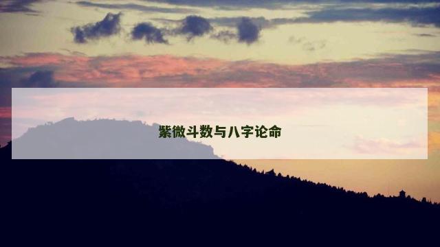 紫微斗数与八字论命