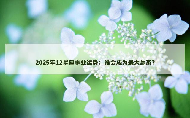 2025年12星座事业运势：谁会成为最大赢家？