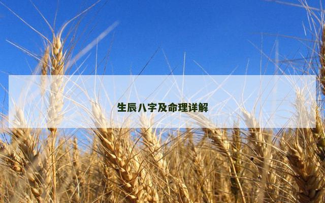 生辰八字及命理详解