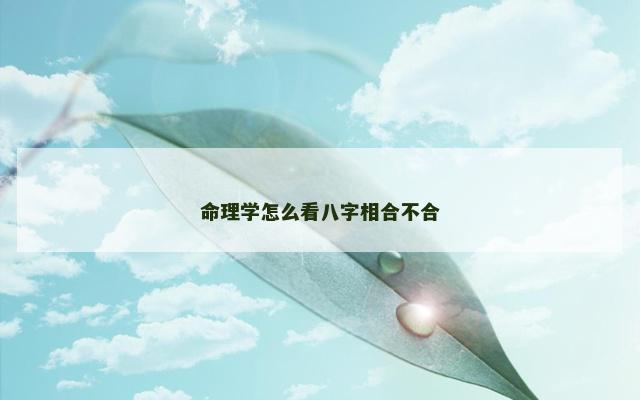 命理学怎么看八字相合不合