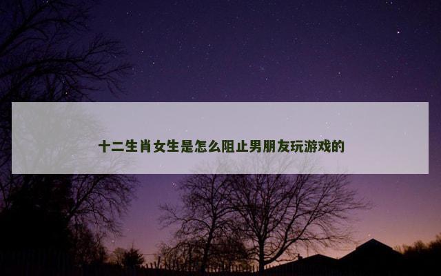 十二生肖女生是怎么阻止男朋友玩游戏的