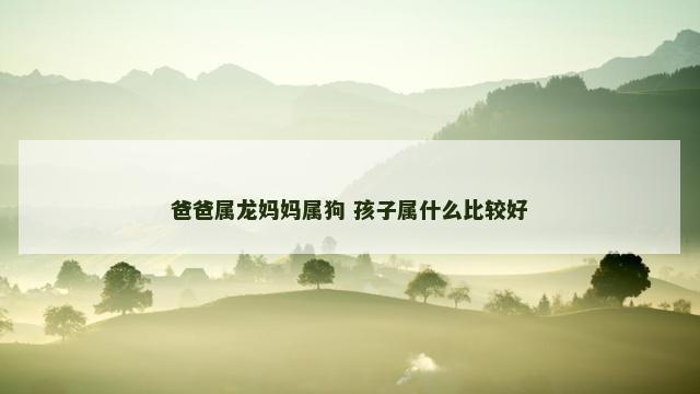 爸爸属龙妈妈属狗 孩子属什么比较好