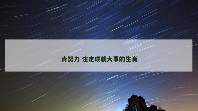 肯努力 注定成就大事的生肖