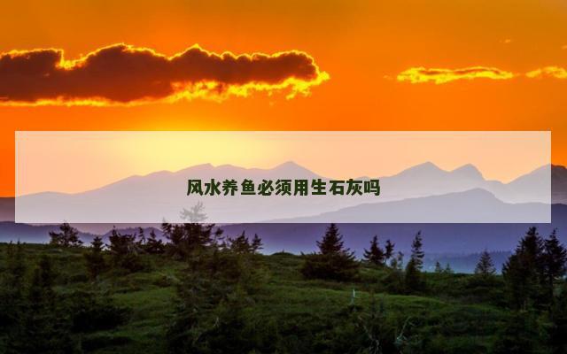 风水养鱼必须用生石灰吗